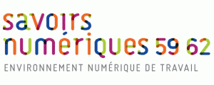 logo-savoirsnumeriques5962